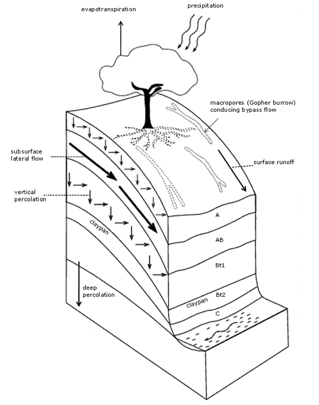 What is meant by soil profile? Draw a sketch of soil profile and lebel the  various layer. - Brainly.in